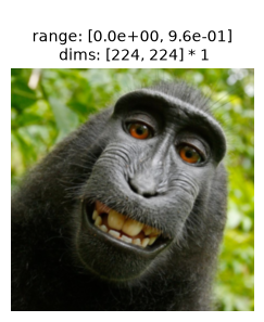 ../_images/8ee28f488caa1fbf4045361d917ae93b33204305747ad999896d4e259db05462.png